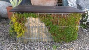 gabbioni arredo giardino